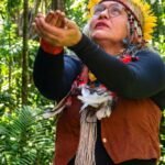 museu-historico-da-cidade-celebra-saberes-indigenas-no-rio-de-janeiro 