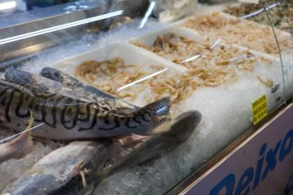 vigilancia-sanitaria-orienta-sobre-compra-de-pescado-na-semana-santa