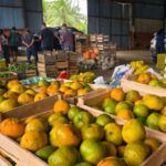 paa-inicia-nova-etapa-com-recebimento-de-alimentos-da-agricultura-familiar