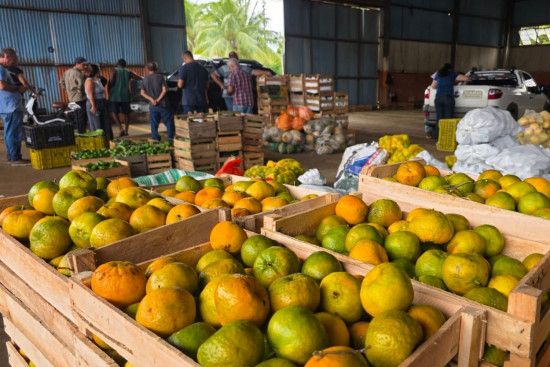 paa-inicia-nova-etapa-com-recebimento-de-alimentos-da-agricultura-familiar