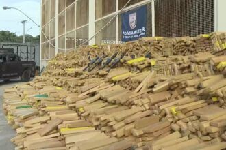 pm-apreende-48-toneladas-de-maconha-em-bunker-no-complexo-da-mare