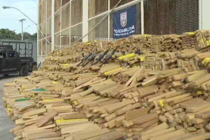 pm-apreende-48-toneladas-de-maconha-em-bunker-no-complexo-da-mare