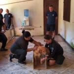 agentes-da-gcm-participam-de-capacitacao-para-adestramento-de-caes