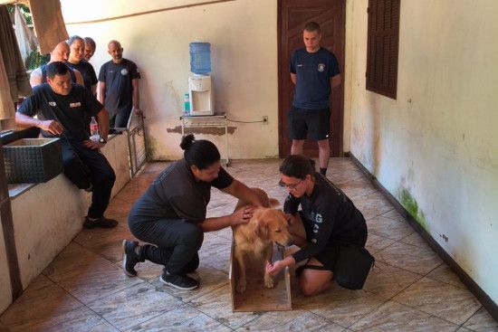 agentes-da-gcm-participam-de-capacitacao-para-adestramento-de-caes