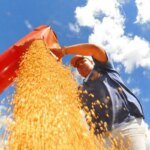 atividade-economica-brasileira-cresce-0,6%-em-fevereiro