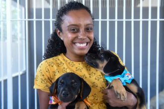 canil-do-ccz-com-quase-40-animais,-entre-caes-e-gatos,-disponiveis-para-adocao