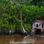 projeto-leva-tratamento-gratuito-a-doencas-negligenciadas-no-amazonas