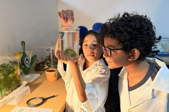 novos-prazos-no-cronograma-do-mais-ciencia-na-escola-para-2026