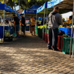 feiras-da-agricultura-familiar-acontecem-de-terca-a-domingo-em-diferentes-pontos