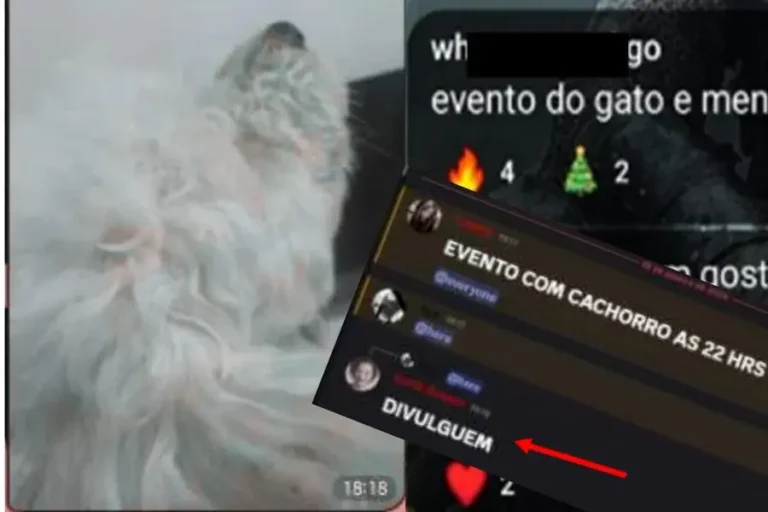 Expresso Rio