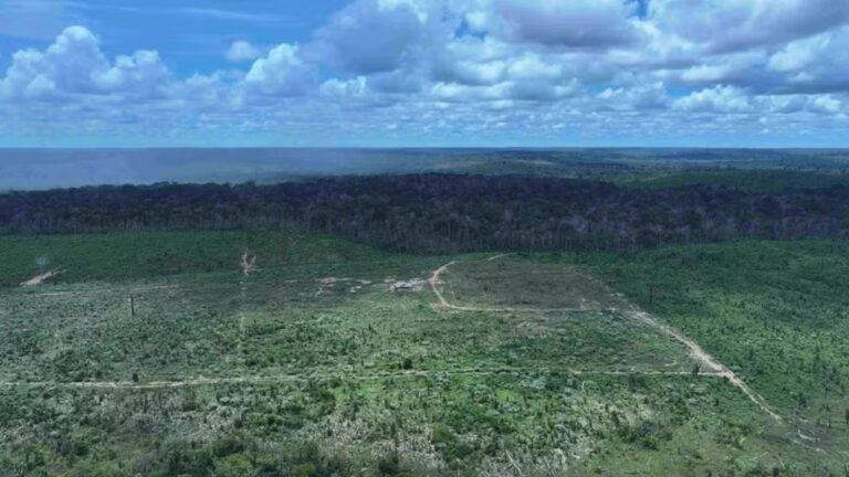 camara-aprova-projeto-que-limita-multas-ambientais-com-base-em-imagens-de-satelite