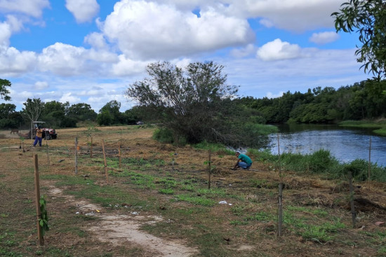 meio-ambiente-realiza-plantio-de-mudas-de-arvore-em-ururai-pelo-prefeitura-em-acao