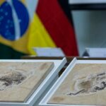 brasil-quer-recuperar-dinossauros-e-patrimonios-que-estao-em-14-paises
