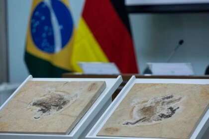 brasil-quer-recuperar-dinossauros-e-patrimonios-que-estao-em-14-paises