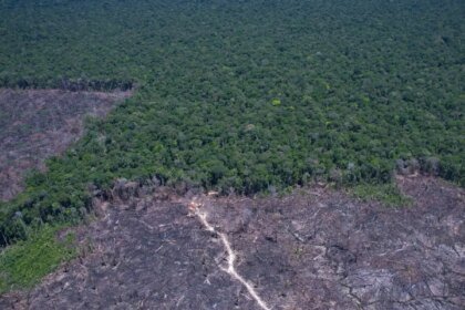 paises-discutem-solucao-para-combustivel-fossil-e-desmatamento-ilegal