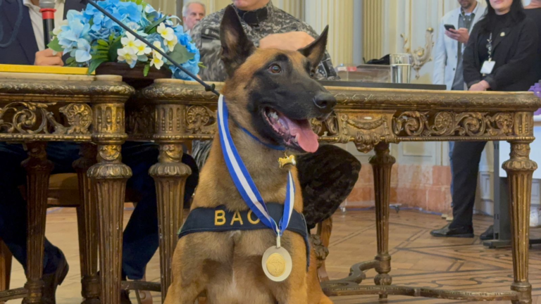 hulk-recebe-medalha-tiradentes-apos-debate-sobre-homenagem-na-alerj