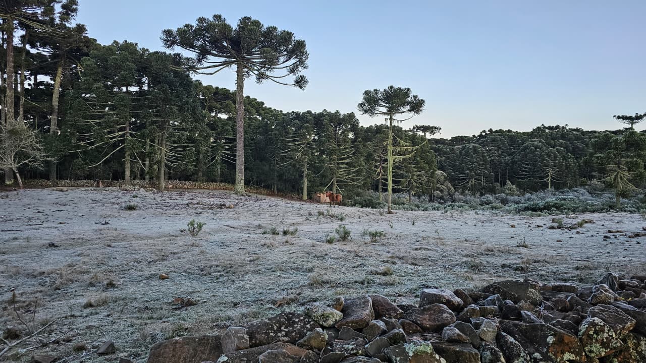 Inverno transforma a Serra Catarinense num dos destinos mais visitados do País | Dicas de Viagem