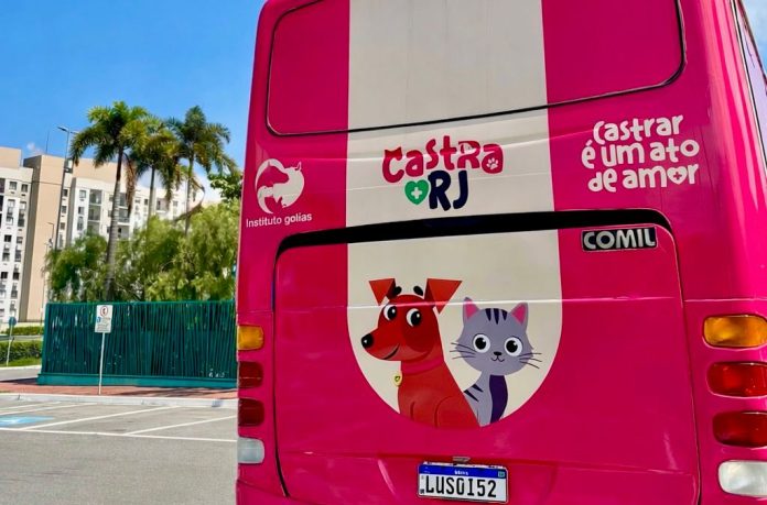 castra-mais-rj-chega-a-bangu-com-cirurgia-gratuita-para-caes-e-gatos