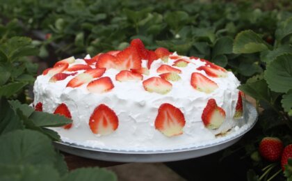 festa-do-morango-aposta-em-tradicao,-musica-e-gastronomia-nas-montanhas-capixabas