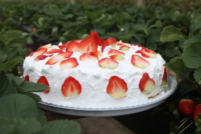 festa-do-morango-aposta-em-tradicao,-musica-e-gastronomia-nas-montanhas-capixabas