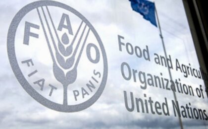alimentacao-saudavel-encareceu-25%-no-mundo-em-apenas-cinco-anos,-diz-fao