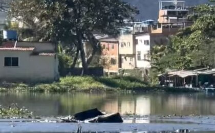 lagoa-da-tijuca:-biologo-registra-18-sofas-em-58-segundos-de-video;-assista