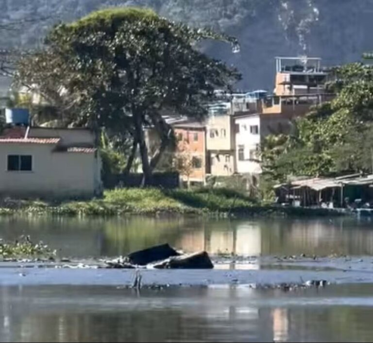 lagoa-da-tijuca:-biologo-registra-18-sofas-em-58-segundos-de-video;-assista