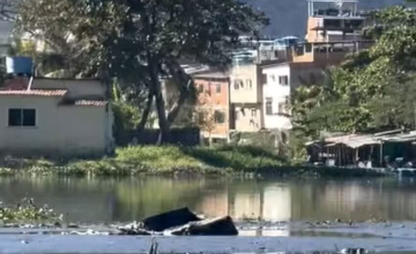 lagoa-da-tijuca:-biologo-registra-18-sofas-em-58-segundos-de-video;-assista