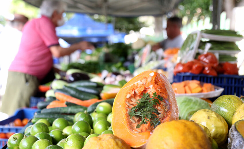 feira-da-agricultura-familiar-em-campos-atrai-fregueses-com-diferentes-tipos-de-produtos