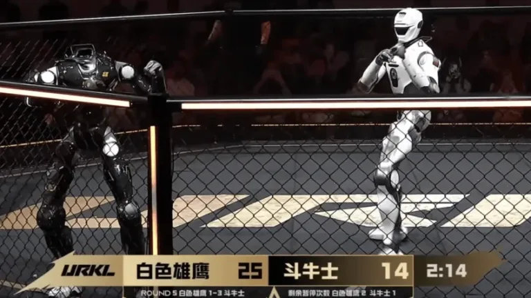 robo-perde-a-cabeca-durante-luta-de-mma-e-continua-em-combate