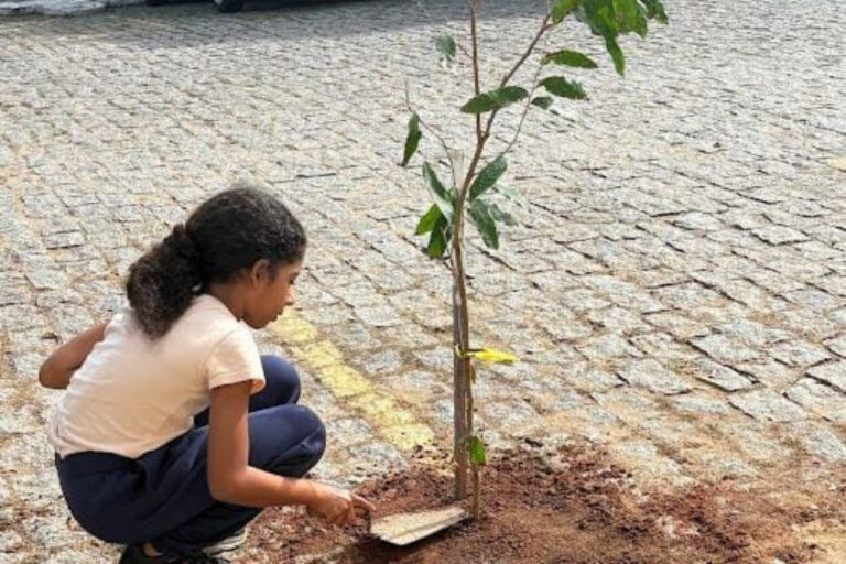 acao-fortalece-sustentabilidade-com-troca-de-reciclaveis-por-mudas-e-adubo-em-campos
