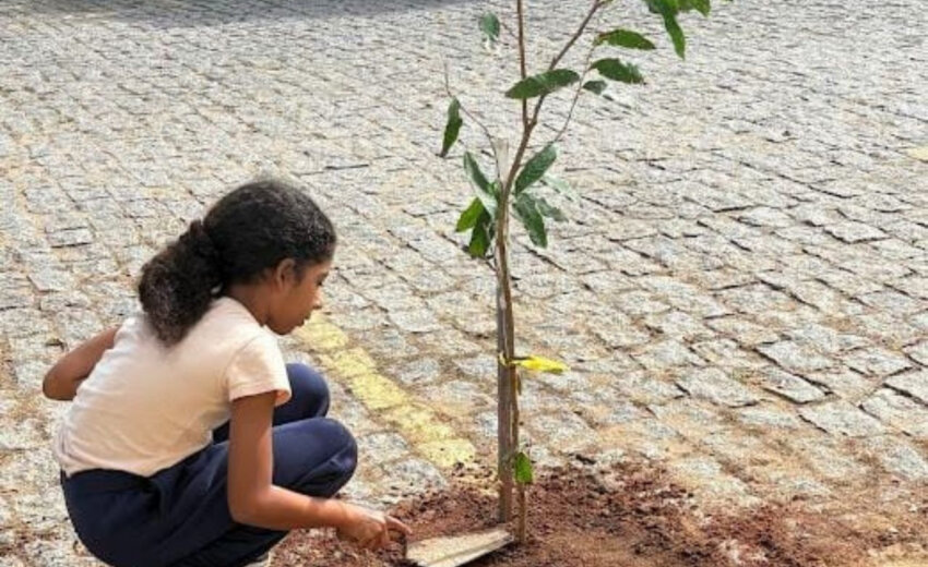 acao-fortalece-sustentabilidade-com-troca-de-reciclaveis-por-mudas-e-adubo-em-campos