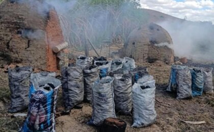 carvoaria-clandestina-e-desmantelada-e-oito-toneladas-de-carvao-sao-apreendidas-em-camposuma-acao-da-policia
