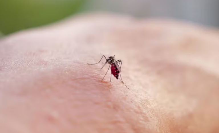 veja-os-19-bairros-que-recebem-acao-contra-a-dengue-nesta-semana