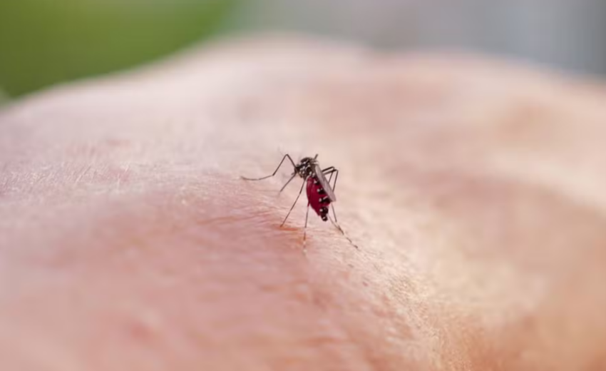 veja-os-19-bairros-que-recebem-acao-contra-a-dengue-nesta-semana