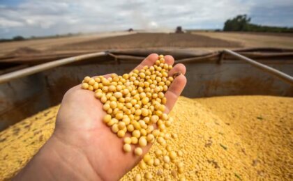 brasil-encosta-nos-eua-e-pode-tomar-lideranca-global-do-agro,-diz-financial-times
