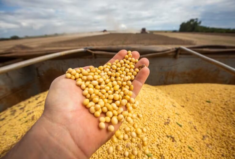 brasil-encosta-nos-eua-e-pode-tomar-lideranca-global-do-agro,-diz-financial-times