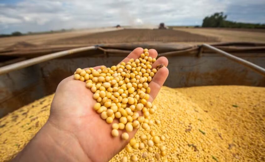 brasil-encosta-nos-eua-e-pode-tomar-lideranca-global-do-agro,-diz-financial-times