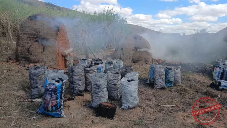 policia-ambiental-desativa-carvoaria-clandestina-e-apreende-cerca-de-oito-toneladas-de-carvao-em-campos-–-jornal-do-estado-do-rio-de-janeiro
