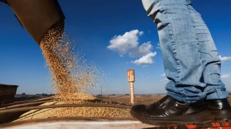 agro-brasileiro-encosta-nos-eua-e-pode-assumir-lideranca-global-nas-exportacoes