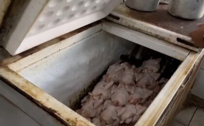 sem-higiene:-procon-acha-alimentos-improprios-e-baratas-em-padaria-de-vila-isabel;