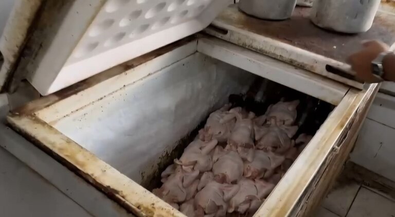 sem-higiene:-procon-acha-alimentos-improprios-e-baratas-em-padaria-de-vila-isabel;
