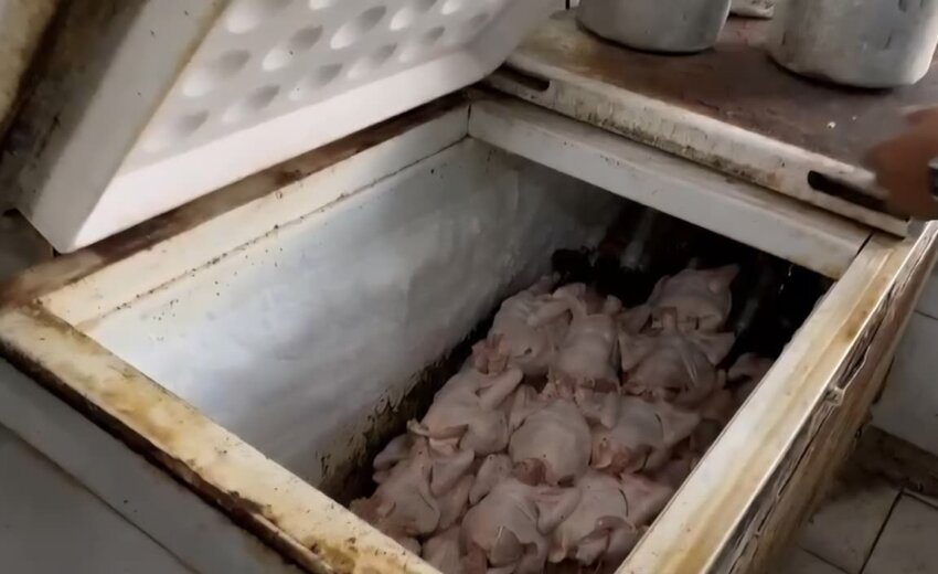 sem-higiene:-procon-acha-alimentos-improprios-e-baratas-em-padaria-de-vila-isabel;