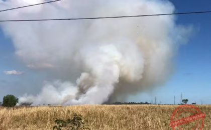 em-campos,-incendio-em-area-de-mata-provoca-cortina-de-fumaca-na-regiao-da-pecuaria,