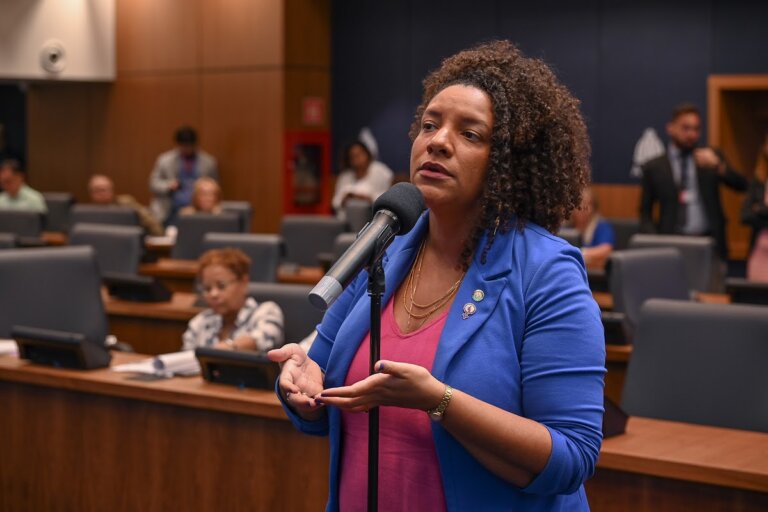 stj-impoe-reves-a-alerj-e-mantem-renata-souza-na-comissao-da-mulher