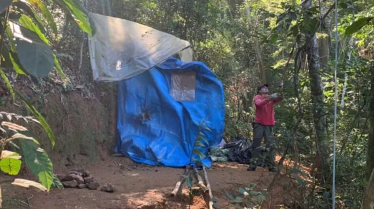 operacao-retira-quase-meia-tonelada-de-barracas-e-entulho-de-area-protegida-no-parque-da-tijuca