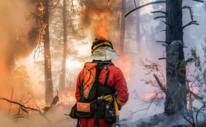 calor-extremo-amplia-incendios-na-europa-e-espanha-decreta-emergencia-nacional