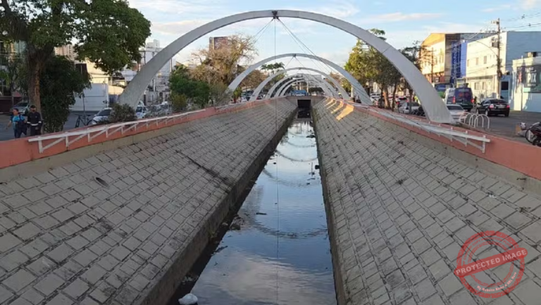 cardume-de-tilapias-e-bagres-chama-atencao-em-canal-de-campos;-especialistas-desaconselham-consumo