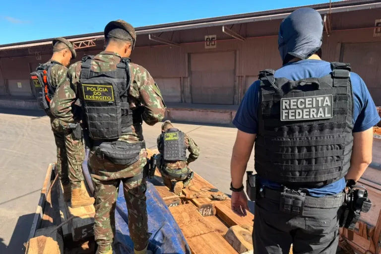 pf-nao-encontra-cocaina-em-260-toneladas-de-madeira-e-investiga-origem-de-apreensao-recorde
