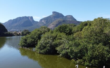 em-unidades-de-conservacao,-rio-amplia-protecao-de-manguezais-e-supera-3.200-hectares-preservados